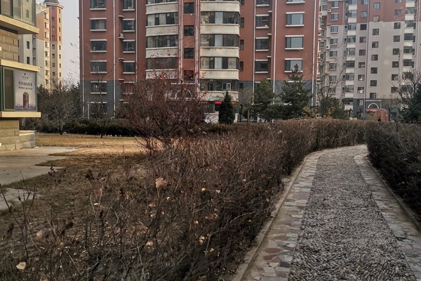 御龙苑优点,不足,御龙苑怎么样,御龙苑周边房产中介经纪人评价-朔州