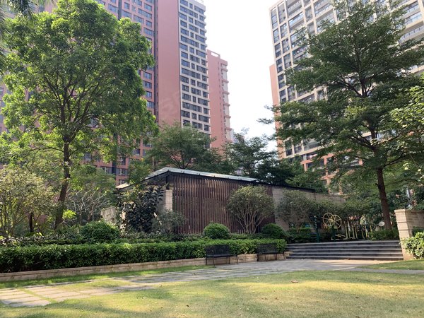 东莞南城石竹万科金域华府二期安静舒适漂亮的大3房!