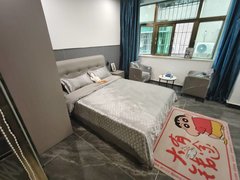 深圳宝安固戍一号线固戍独栋电梯公寓近新天地精装修大单间干湿分离拎包入住出租房源真实图片