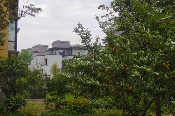 宿州院子 埇桥-万达广场-拂晓大道