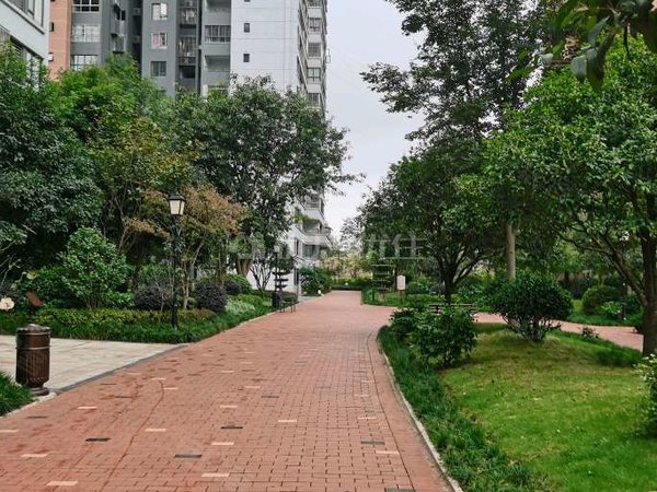 重庆渝北空港中国摩林莺花园2室整租中国摩一期64平精装1600元每月