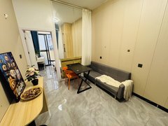 深圳南山科技园南山奢华一房急租 押一付一民水电家私齐全拎包入住！出租房源真实图片