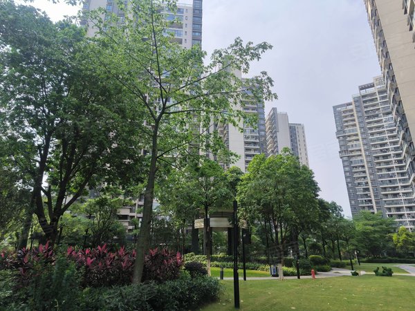 【多图】悦江上品苑,桥中租房,急租 悦江上品 河沙地铁200米 通透户型