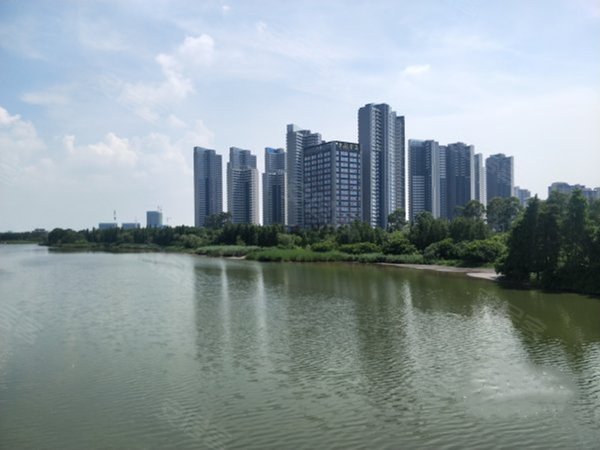 广州南沙金洲南沙金茂湾(商住楼)单间公寓,拎包入住,家私家电齐全