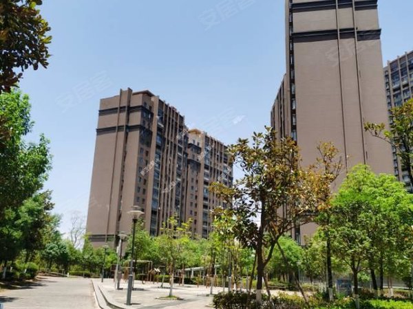 昆明呈贡市政府惠景园惠景园134平精装修出租出租房源真实图片