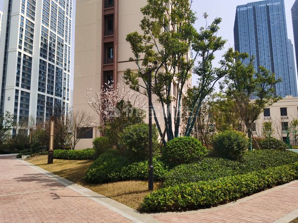 襄阳襄州东津世纪城东津世纪城19区中枢府东津世纪城19区 105平  整租