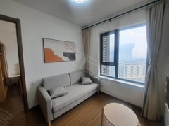 长春净月天富路拎包入住 交通便利万达茂 四季南河 学校近临轻轨 随时看房出租房源真实图片