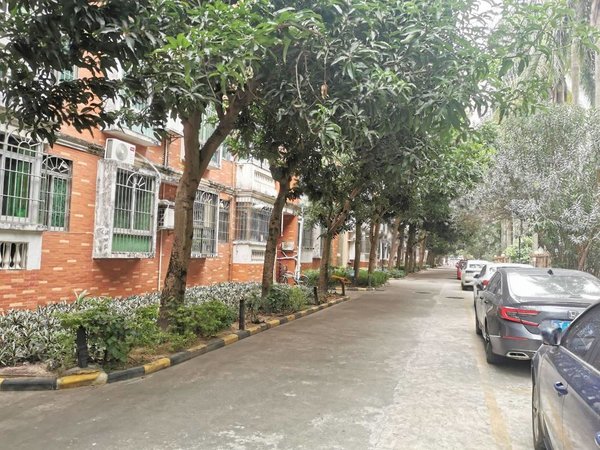 珠海香洲梅华富康花园新上,体育中心旁,近旺角百货,多套富康花园精装2