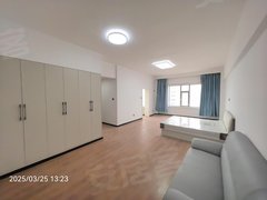 延边延吉开发区可月付 爱得公寓(开发区 万益市场)电梯 一室一厨 85平出租房源真实图片