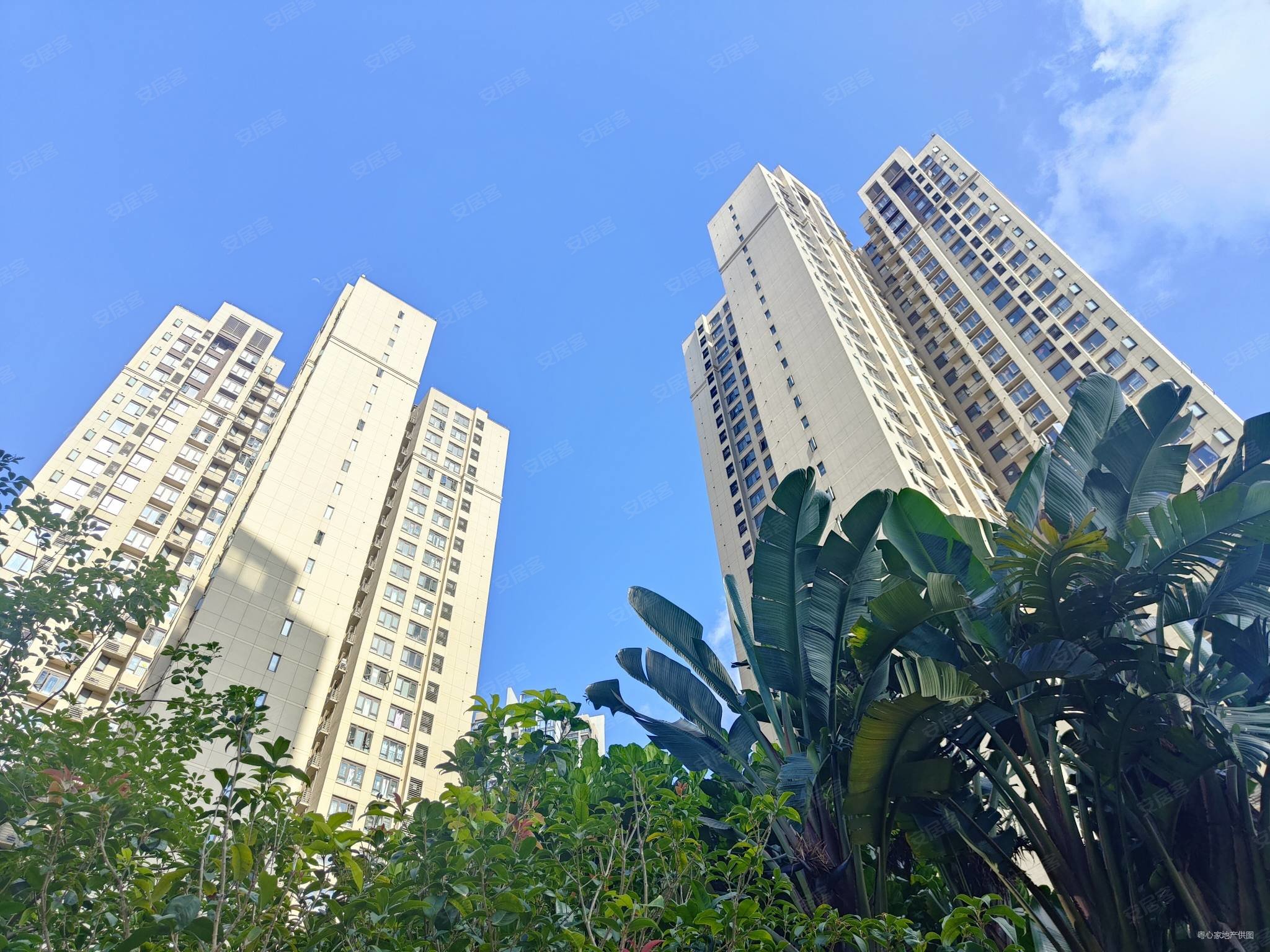 精装三房225w珠海新香洲华发未来荟次新小区电梯中层