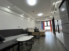 宜春袁州实验中学鼓楼旁 百尚城几十套公寓出租家具家电齐全拎包入住多种风格任选出租房源真实图片