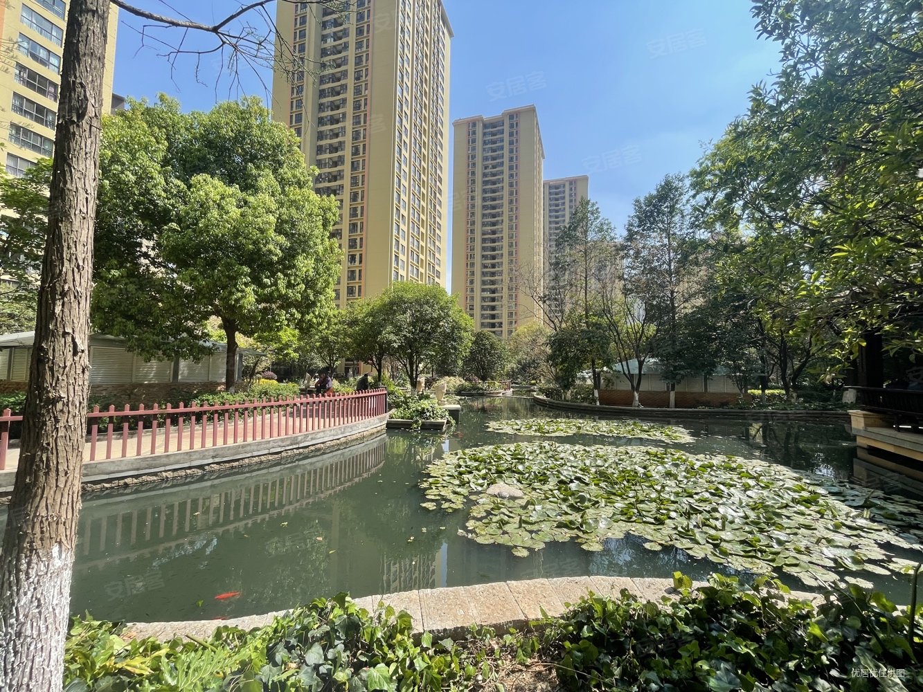 春城慧谷精装修大两室 房东急卖 速来 手慢无85平62万