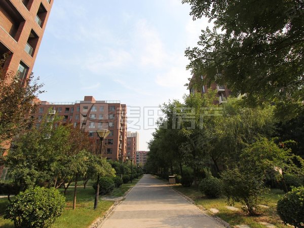 【多图】北京香颂,望京租房,北京香颂 2室1厅1卫 电梯房 配套齐全 精