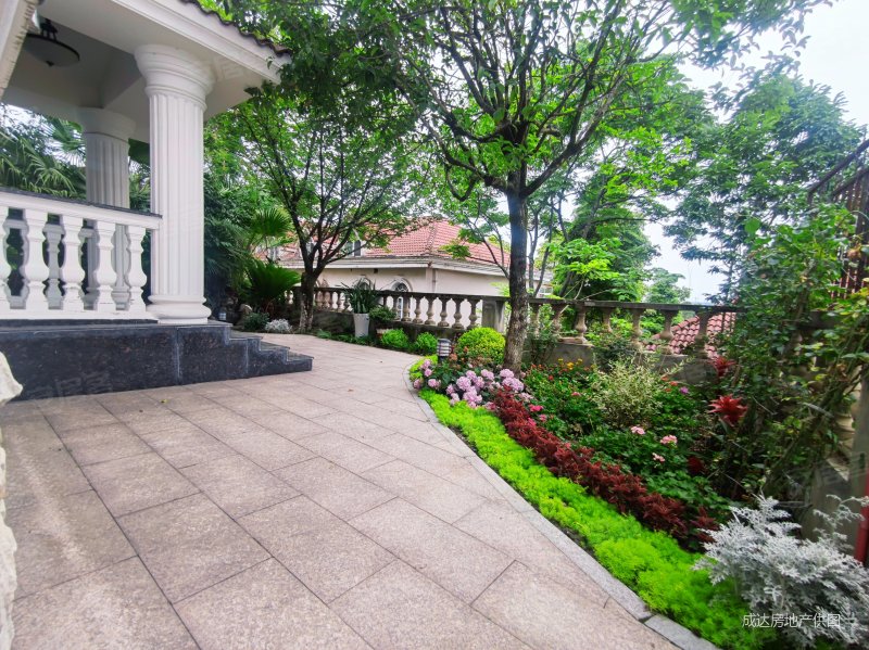 外国语旁独栋别墅带独立车库和私家花园客厅挑空诚心卖,富临山庄二手