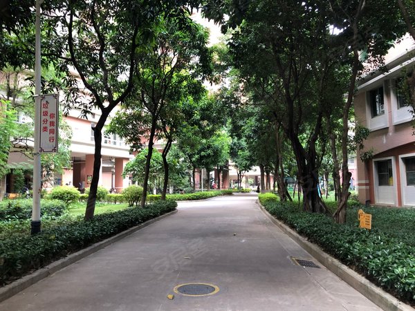 广州荔湾芳村芳园居芳园居小区 业主急租 安静南向 温馨舒适 坑口地铁