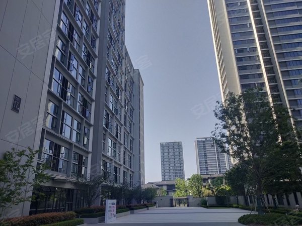 杭州萧山新街湖悦江南院(商住楼)新街双钥匙精装公寓直租0中介可月付