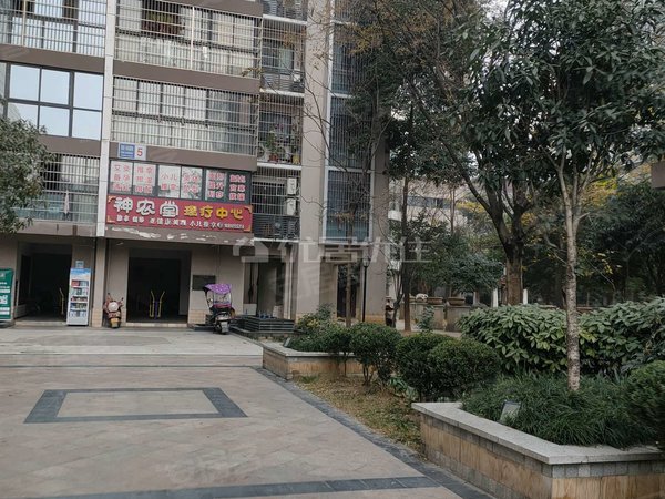 绵阳高新区永兴镇西城国际电梯房 2室 整租 78平 西城国际 精装 视野