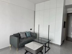 滨江华府公寓套房，全新装修，家电齐。