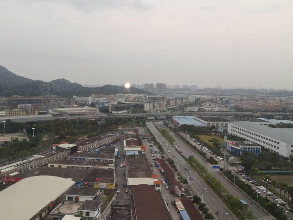 广州番禺钟村雄峰城钟村雄峰商城  复式2房 视野开阔 采光充足出租