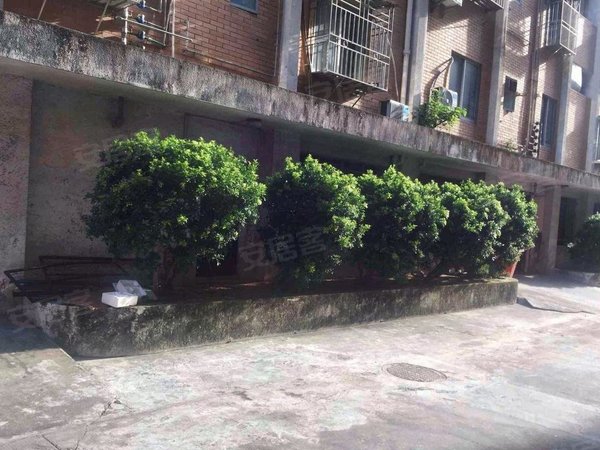【多图】世界花园米兰居,华侨城租房,华侨城温馨大两房,近世界之窗