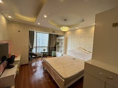 贵阳南明花果园花果园财富广场R区温馨一居室出租包物业宽带押一付一急租无中介出租房源真实图片