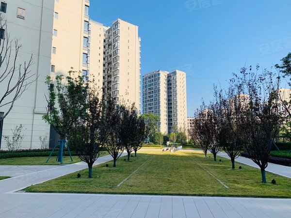 重庆巴南界石御华兰亭(二期)出租御华兰亭,精装两房,全新装修,拎包