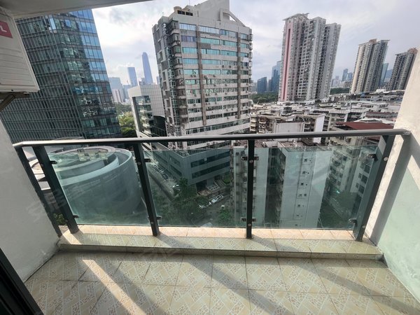 深圳福田华强南桐林城市广场桐林公寓精装两房,装修漂亮,干净整洁,厅