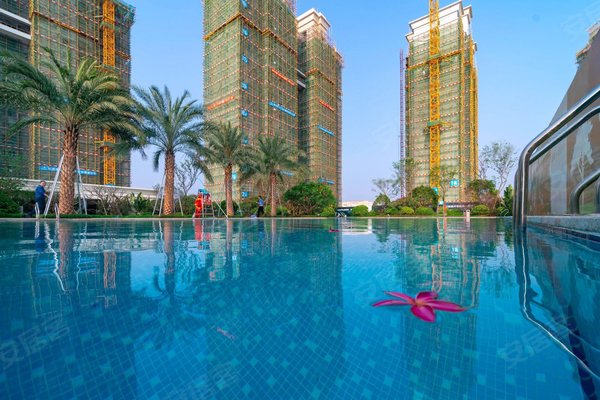 新力湾,珠峰大道-珠海新力湾二手房,租房-珠海安居客