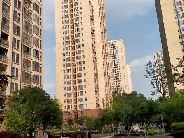 重庆北碚复兴和泰家园轻轨站刘家院子旁 中装单间配套出租房源真实