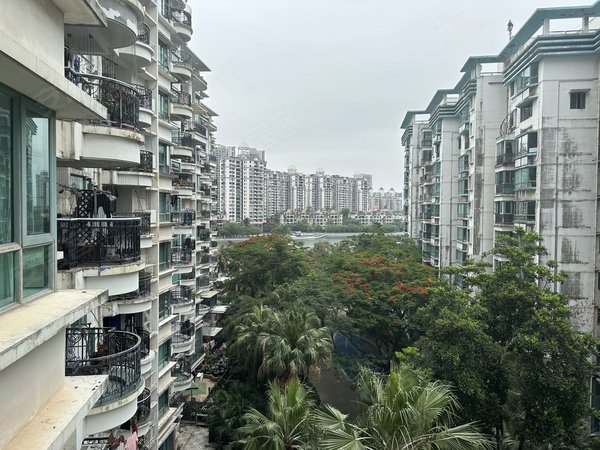 深圳南山蛇口南海玫瑰花园(一期)南海玫瑰花园(一期) 花园中间大主卧l