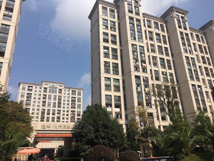 不足,远洋大河宸章怎么样,远洋大河宸章周边房产中介经纪人评价-杭州