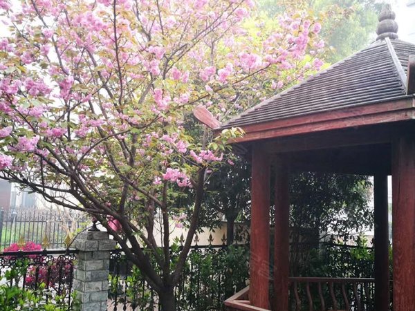 荆门掇刀城南新区荆门碧桂园凤仪湾凤凰湖旁碧桂园别墅180平家电家具