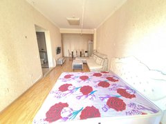 三河燕郊镇燕郊城区燕灵路~暖气足~精装开间1250月~理想新城小区~随时看房出租房源真实图片