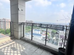 上海浦东张江已空 新出高区 精装诚租 安静 业主人和善 可以长签 有钥匙出租房源真实图片