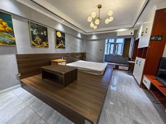 伊犁伊宁市伊宁市开发区天富伊城精装单身公寓 阳台可睡人出租房源真实图片