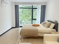 怀化鹤城城中年底急租，便宜好房，可月付，第一人民医院，新中医院附近一室出租房源真实图片