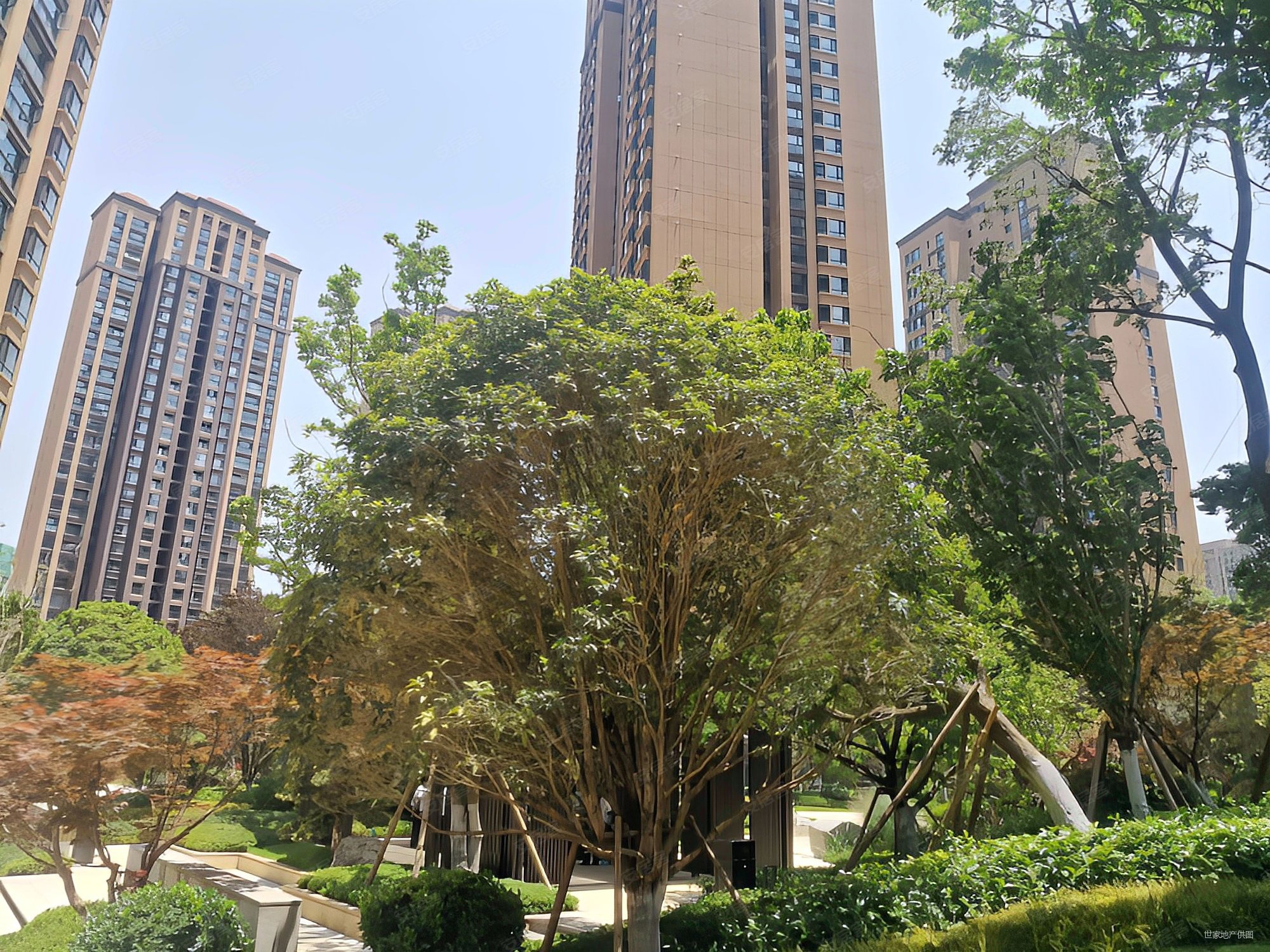 彩云城星湾俊园 大3房 客厅宽敞 楼道明亮 房东急售,俊发星湾俊园二手