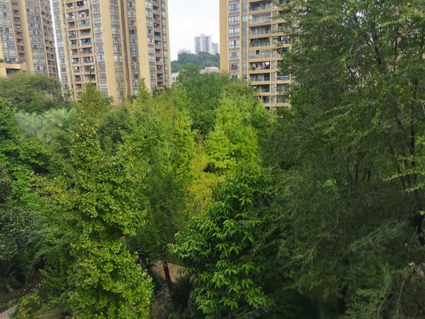 重庆合川合川大学城丽景水岸合川大学城附近洋房出租,随时看房出租