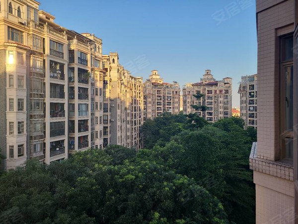 广州增城新塘海伦堡花园海伦堡美丽的大三房,房子安静采光好出租房源