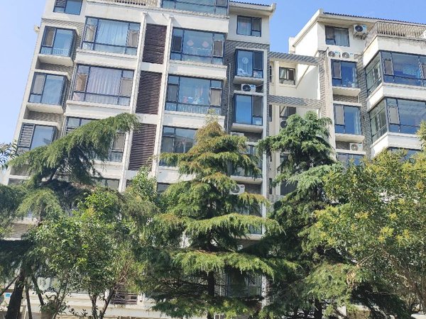 烟台蓬莱登州街道万兴凤凰广场县后路步行街3室2000元出租房源真实