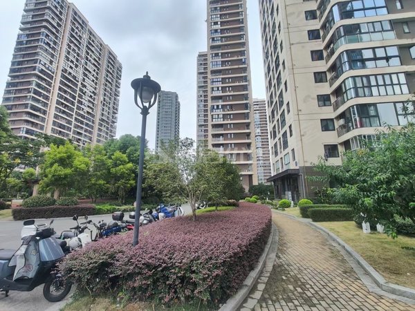 温州鹿城葡萄棚方达嘉园方达家园 精装房 楼高视线好 三室二厅二卫