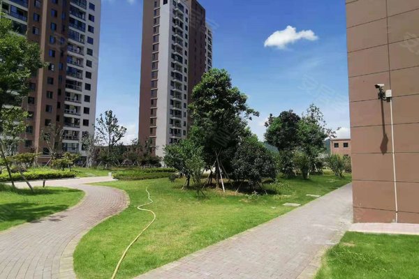 台州小区 路桥小区 桐屿小区 春泽园