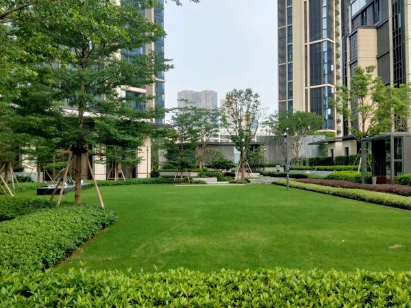 深圳南山大学城深铁阅山境花园地铁口 安静看山景,大学城片区,出租