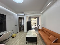 永州零陵红星美凯龙碧桂园正央公园 精装修公寓 一室一厅 状态好 拎包入住出租房源真实图片