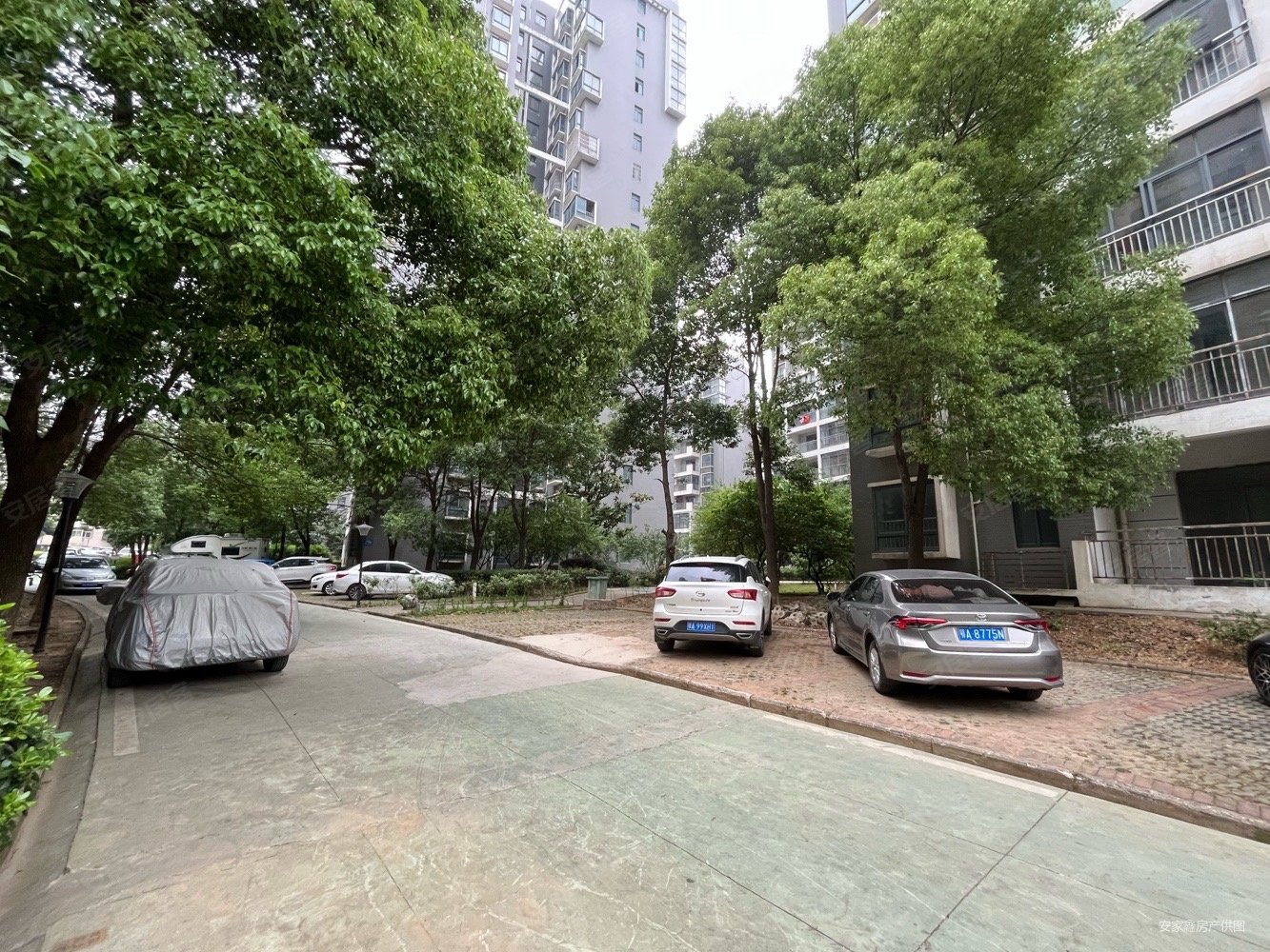 阳逻莱茵城3当装修拎包入住售价52万证满两年