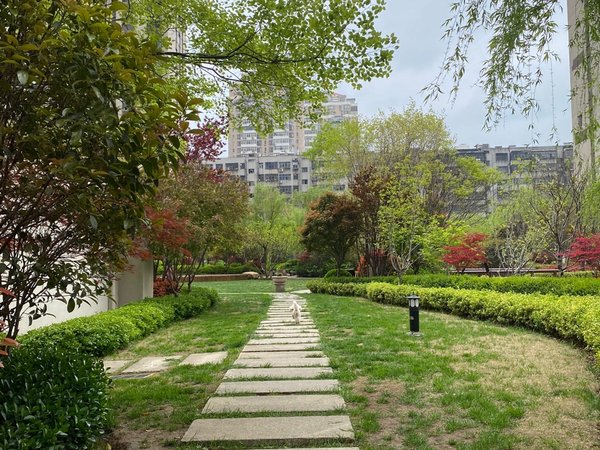 平顶山新华仙商购物广场名门世家名门世家精装两室 拎包入住 有暖气