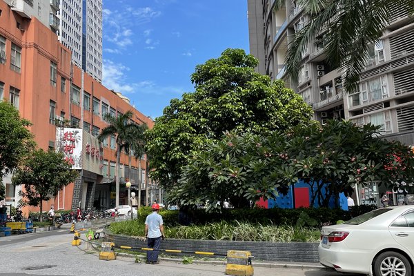 深圳小区 福田小区 皇岗小区 皇御苑(四期) 皇御苑(四期)怎么样