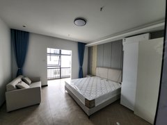 合肥包河骆岗免费停车 包河工业园地铁口中关村4s店 青网国轩高科 可短租出租房源真实图片