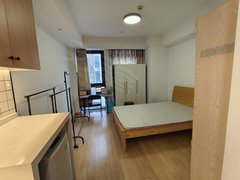 衢州龙游龙游城区龙湖湾附近付一押一单身公寓出租,家电齐全,拎包入住出租房源真实图片