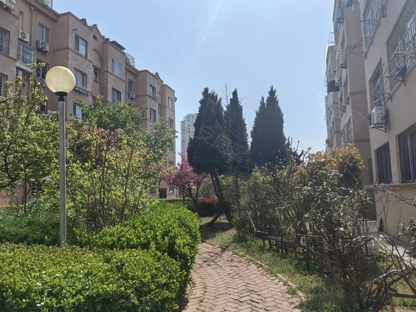 青岛李沧青山路百通花园可短租 无中介 百通花园 青山路 万年泉路地铁